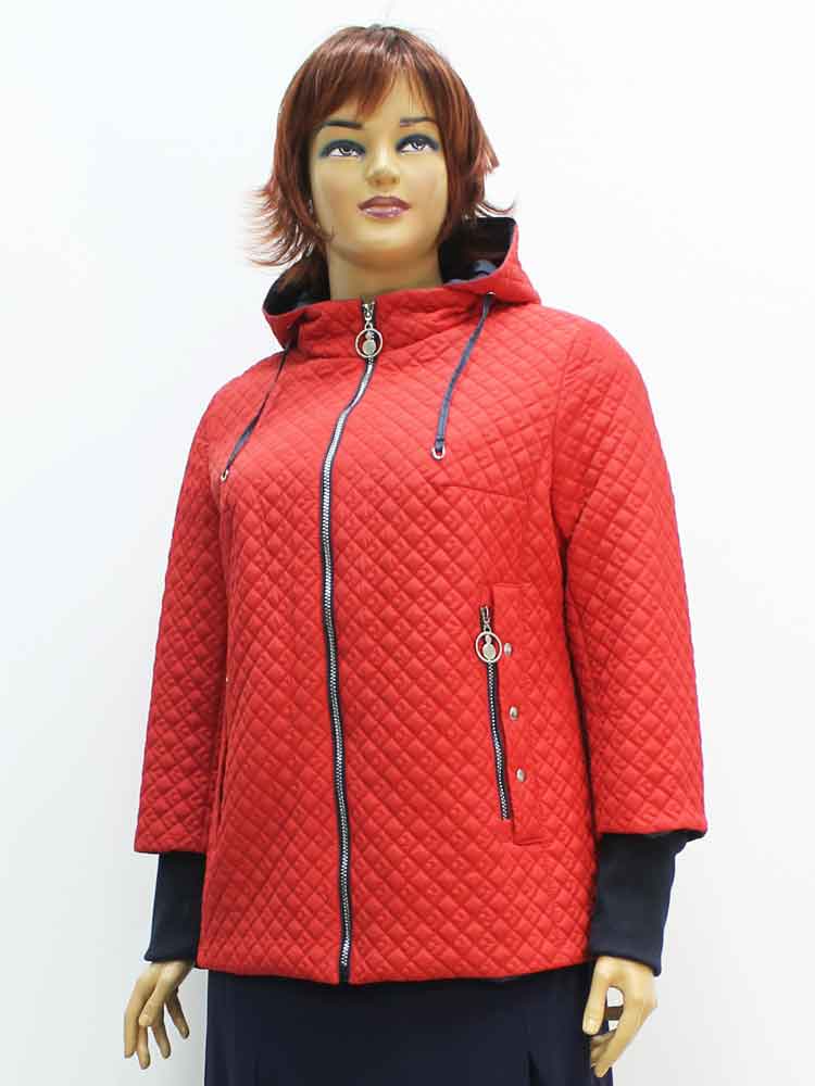 Куртка демисезонная женская с капюшоном большого размера, 2021. Магазин «Пышная Дама», Луганск.